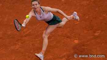 Halep experiences panic attack during French Open match - Belleville News-Democrat