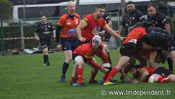 Port-La Nouvelle : les seniors B de l'USP à Frontignan dimanche face à Avignon-Le Pontet en 1/16e de finale - L'Indépendant