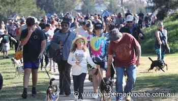Million Paws Walk set for a return in Bathurst on Sunday - Western Advocate