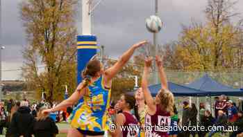 Netballers represent at Bathurst carnival - Forbes Advocate