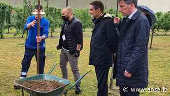 Lombardia: Fontana inaugura frutteto nel carcere di Monza - Agenzia ANSA
