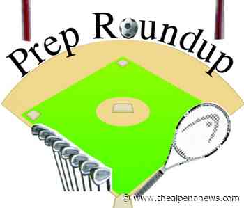 PREP ROUNDUP for May 25, 2022: Posen and Alcona baseball, softball split - Alpena News