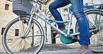 Ada e Fiab Parma propongono la pedalata "Alberi da scoprire in città" - Gazzetta di Parma