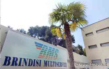 A Brindisi ritardi per gli stipendi per operatori asili nido e dipendenti Multiservizi - TeleRama News