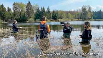 „Hexenhype und Hipster-Ziel“ – der Harz kommt im Fernsehen
