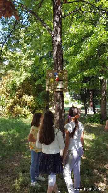 Legalità, sport, musica e biodiversità: l'Ic Foligno 4 protagonista in tante iniziative - Rgunotizie.it