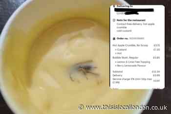 Kaspa's Lewisham Just Eat order comes with 'bug' in custard