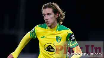 Norwich City: Bournemouth decline Todd Cantwell deal - Smith - PinkUn
