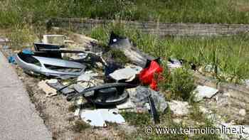 «Abbandono selvaggio di rifiuti e verde, non ci siamo» - Termoli Online