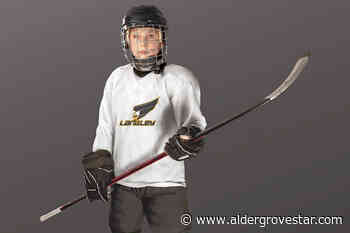 Langley Minor Hockey Association is recruiting – Aldergrove Star - Aldergrove Star