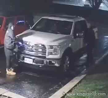 Kingston Police seek assistance to identify individuals in attempted vehicle theft - Kingstonist
