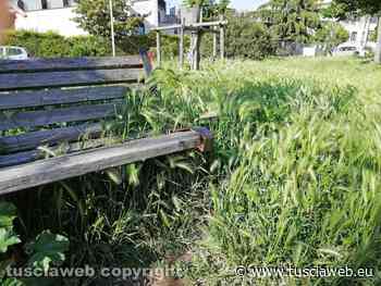 "Contro l'erba alta pianificazione del verde e adozione di criteri ambientali minimi" - Tuscia Web