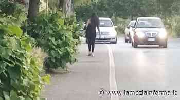 I polloni e l’erba cresciuta in via dei Martiri di Nassirya segnalati a Rosario Piccioni che rimanda alle responsabilità comunali - LameziaInforma