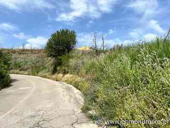 Erba alta e secca ed incuria, il pericolo è una nuova stagione di incendi. M5s Termoli ‘pungola’ il Sindaco - Primonumero