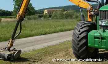 Taglio dell'erba sulle strade provinciali - Qui News Valdicornia