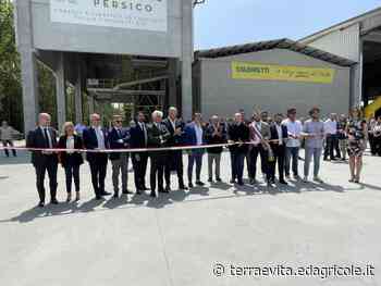 Erba medica, nel Ferrarese impianto di essiccazione targato Bf - Terra è vita