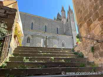 "Certamente l'erba in questo periodo cresce, ma assicuriamo i cittadini che siamo presenti in tutto il territorio" - OrvietoNews.it