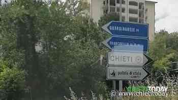 L'erba alta nella strada di accesso alla città copre la segnaletica verticale: allarme da via Masci [FOTO] - ChietiToday