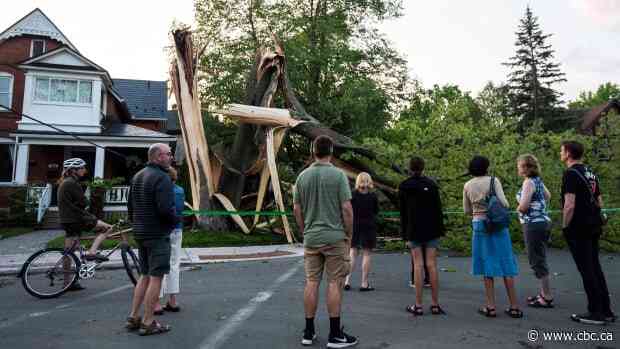 6 scenes before and after storm destruction in Ottawa - CBC.ca