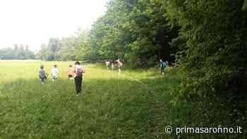 In Lombardia abbiamo un grande patrimonio verde - Prima Saronno