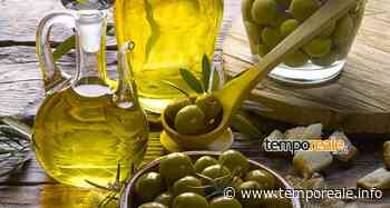 Minturno / "Merenda nell'oliveta", alla scoperta degli oli del territorio a Pulcherini | temporeale quotidiano - Temporeale Quotidiano