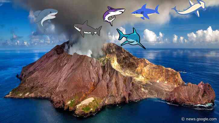 Sharkcano, the volcano with sharks in it, erupts - The A.V. Club