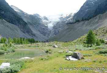 Unfall in Walliser Alpen – Tourengänger stirbt bei Sturz in Gletscherspalte - Berner Zeitung