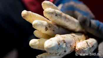 Spargel-Krise: Heimische Bauern leiden unter Billig-Importen - BILD