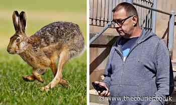 Hare courser was 'trying to relive his youth' in Angus, court told - The Courier