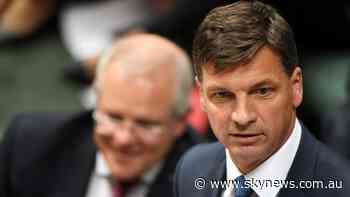 Dutton is 'right person to lead' Liberals: Angus Taylor - Sky News Australia