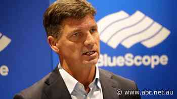 Angus Taylor says Liberal Party must focus on core values after federal election loss - ABC News