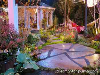 Growing Things: By the light of the silvery moon