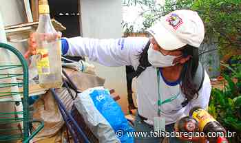 Birigui faz mutirão contra dengue - Folha da Região