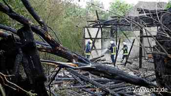 Doppelter Feuerwehr-Einsatz: Gebäude und Bäume brennen in Jena