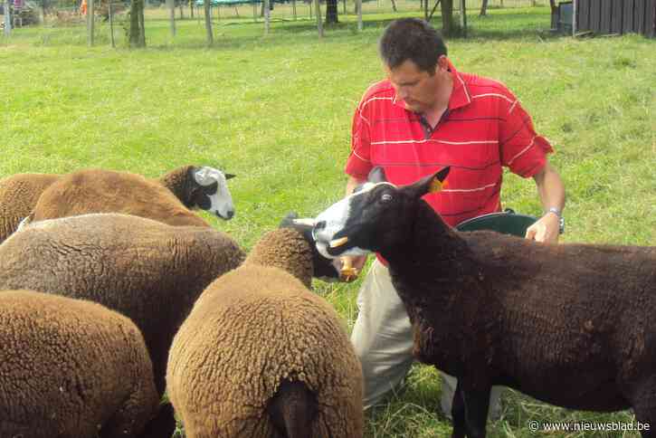 Schapenhouders kunnen wol naar depot brengen