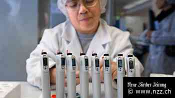 Das Land Mecklenburg-Vorpommern zahlt viel für ein paar Dutzend Arbeitsplätze aus der Schweiz