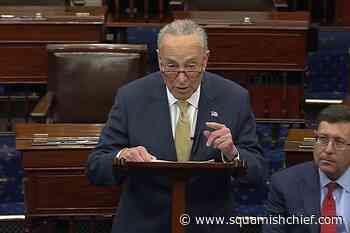 Senate GOP blocks domestic terrorism bill, gun policy debate - Squamish Chief