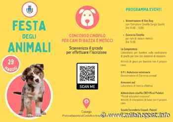 Festa degli animali – 29 maggio -Cusago prato adiacente al Castello e Area Mercato - MilanoPost