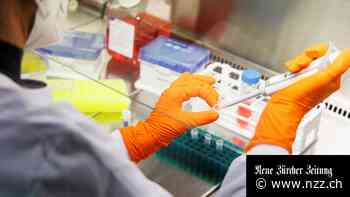 Zur rechten Zeit am rechten Ort: Das Biotech-Unternehmen Bavarian Nordic hat eine zugelassene Impfung gegen Affenpocken