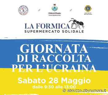 Torna la raccolta alimentare a favore degli ucraini a Pineto - Abruzzo Cityrumors