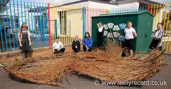 Vandals destroy Ayr school's popular play hut as police launch hunt for culprits - Daily Record