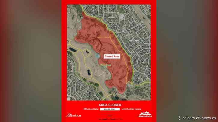 Coyote attack on dog and owner prompts partial closure of Fish Creek Provincial Park