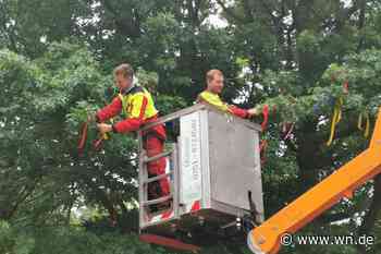 Schnullerbaum-Termine stehen fest