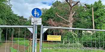 Arbeiten in Hildesheim dauern an – hier bleibt der Zugang noch länger zu - www.hildesheimer-allgemeine.de