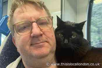 Man takes Sainsbury's to court after refusing access to his assistance cat