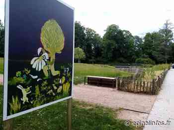 Expressions potagères - Découvrez le jeu de piste au parc du château - Epinal infos - Epinal Infos