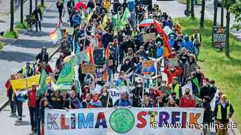 Fridays for Future: Das forderte die Klimabewegung in Kiel