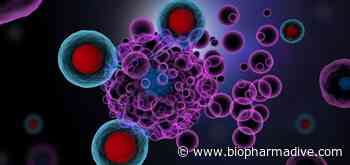 Adicet data hints at early promise for 'gamma delta' cell therapy - BioPharma Dive