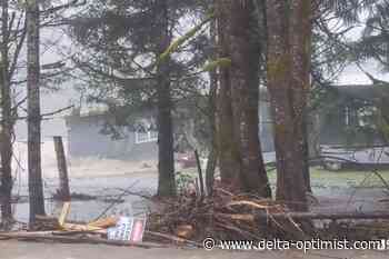 BC November storms: Seniors still waiting for support, homeless - Delta Optimist