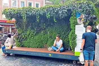 Pflanzen in der Stadt trotzen Klimawandel